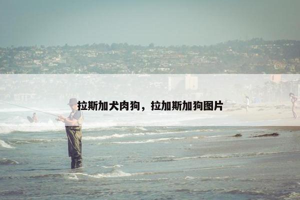 拉斯加犬肉狗，拉加斯加狗图片