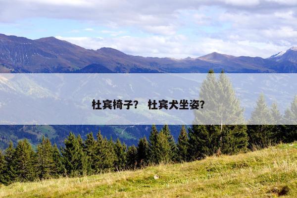 杜宾椅子？ 杜宾犬坐姿？