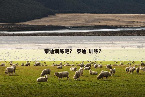 泰迪训练吧？ 泰迪 训练？