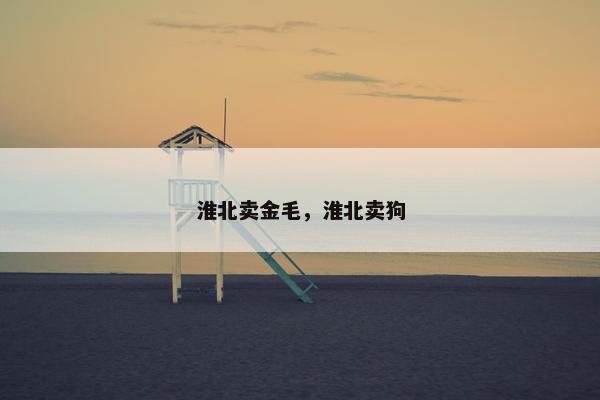 淮北卖金毛，淮北卖狗