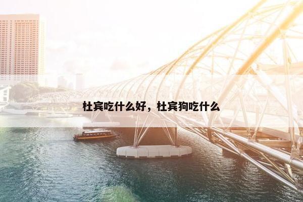 杜宾吃什么好，杜宾狗吃什么