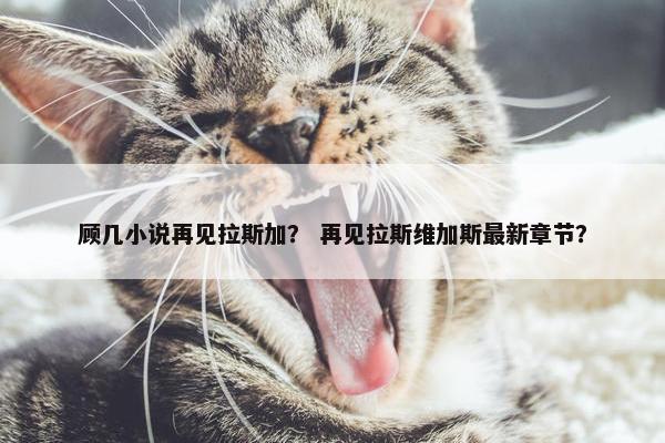 顾几小说再见拉斯加？ 再见拉斯维加斯最新章节？