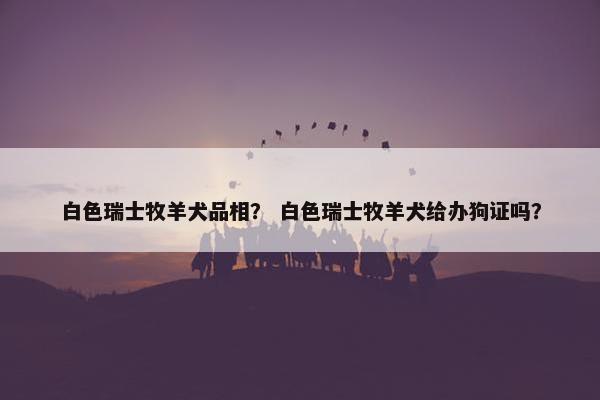 白色瑞士牧羊犬品相？ 白色瑞士牧羊犬给办狗证吗？