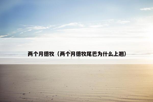 两个月德牧（两个月德牧尾巴为什么上翘）