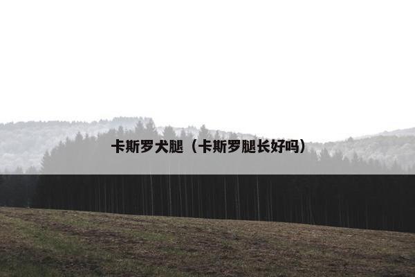 卡斯罗犬腿（卡斯罗腿长好吗）