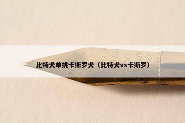 比特犬单挑卡斯罗犬（比特犬vs卡斯罗）