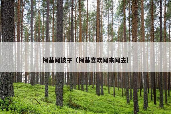 柯基闻被子（柯基喜欢闻来闻去）