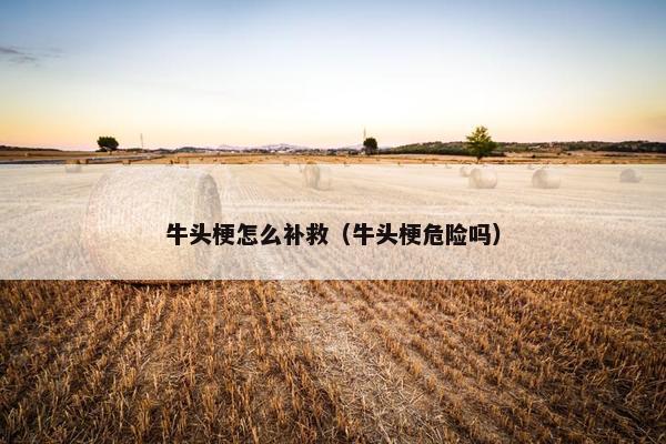 牛头梗怎么补救（牛头梗危险吗）