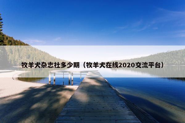 牧羊犬杂志社多少期（牧羊犬在线2020交流平台）