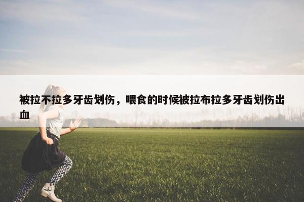 被拉不拉多牙齿划伤，喂食的时候被拉布拉多牙齿划伤出血