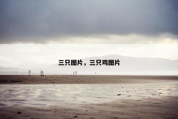三只图片，三只鸡图片