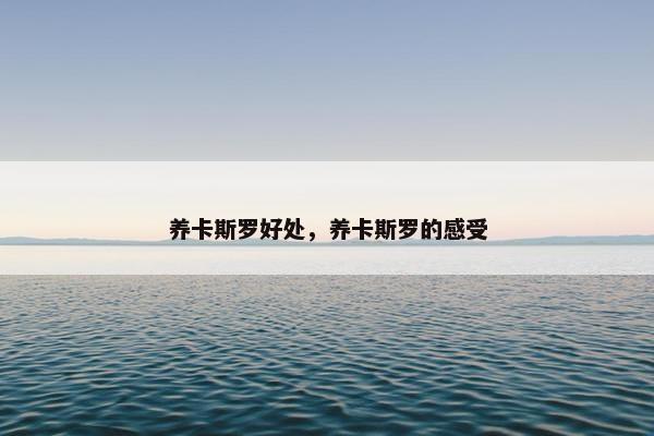 养卡斯罗好处，养卡斯罗的感受