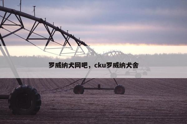 罗威纳犬网吧,cku罗威纳犬舍