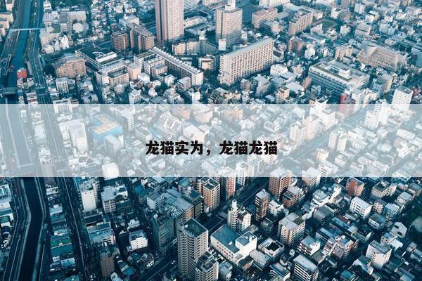 龙猫实为，龙猫龙猫