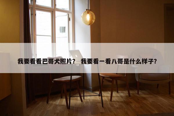 我要看看巴哥犬照片？ 我要看一看八哥是什么样子？