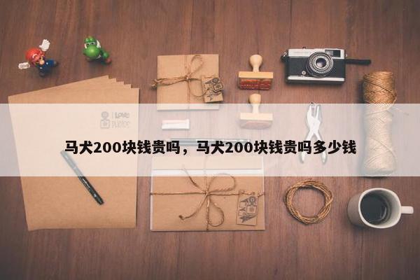 马犬200块钱贵吗，马犬200块钱贵吗多少钱