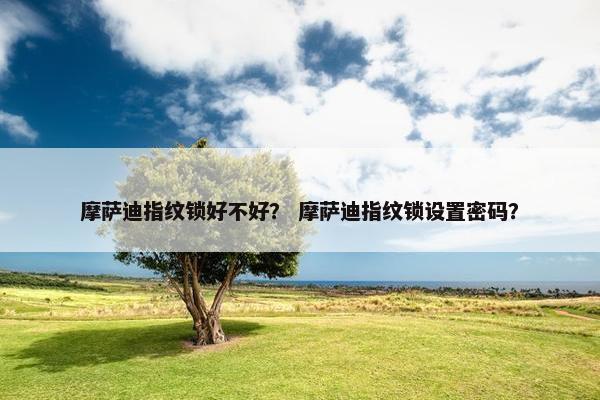摩萨迪指纹锁好不好？ 摩萨迪指纹锁设置密码？