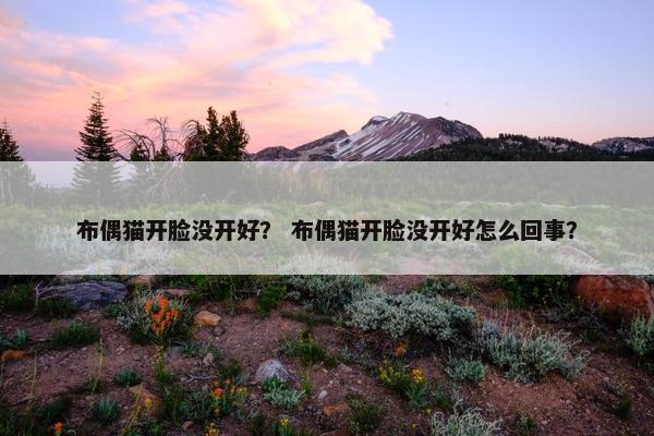 布偶猫开脸没开好？ 布偶猫开脸没开好怎么回事？