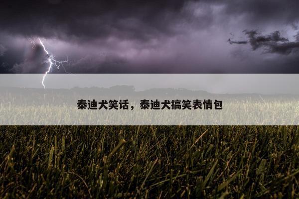 泰迪犬笑话，泰迪犬搞笑表情包