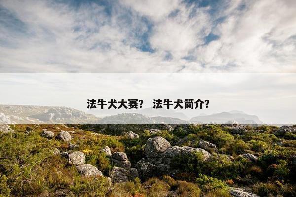 法牛犬大赛? 法牛犬简介? 法牛犬大赛? 法牛犬简介?