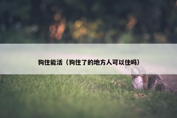 狗住能活(狗住了的地方人可以住吗) 狗住能活(狗住了的地方人可以住吗)