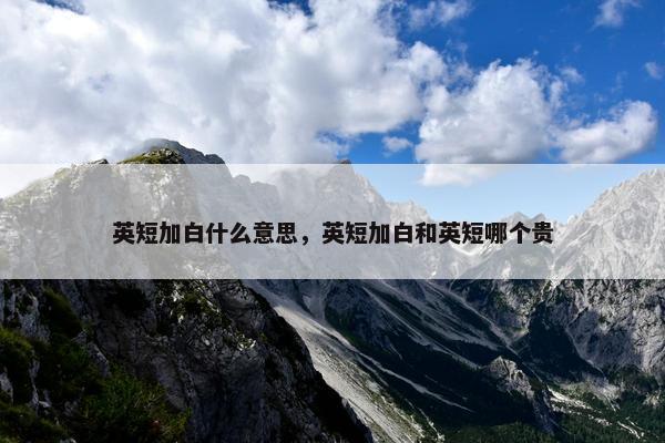 英短加白什么意思，英短加白和英短哪个贵