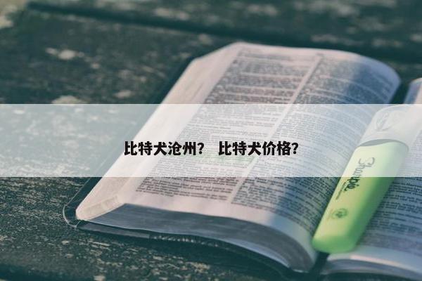 比特犬沧州? 比特犬价格? 比特犬沧州? 比特犬价格?