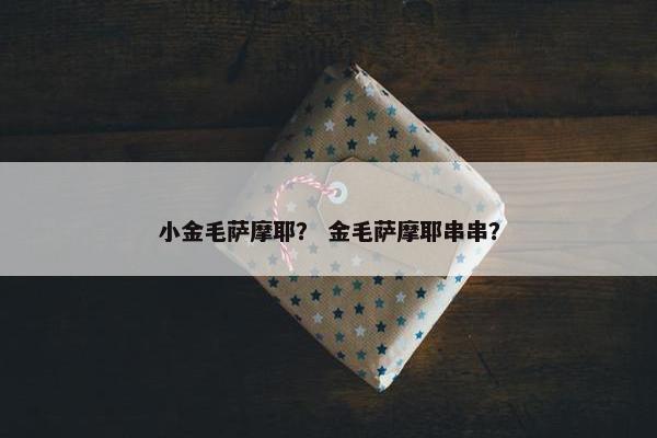 小金毛萨摩耶？ 金毛萨摩耶串串？