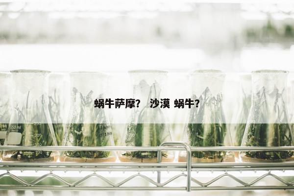 蜗牛萨摩？ 沙漠 蜗牛？