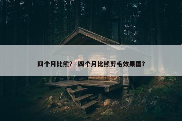 四个月比熊？ 四个月比熊剪毛效果图？