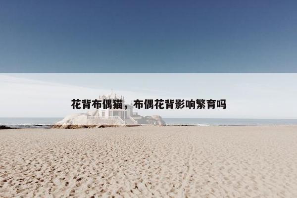 花背布偶猫，布偶花背影响繁育吗