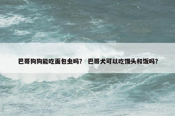 巴哥狗狗能吃面包虫吗？ 巴哥犬可以吃馒头和饭吗？