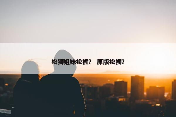 松狮姐妹松狮？ 原版松狮？