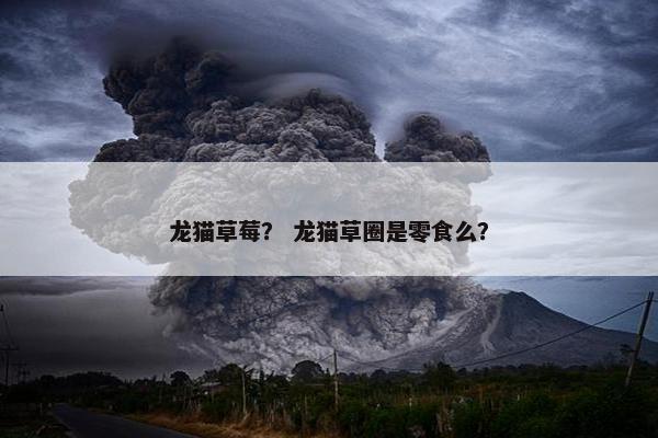 龙猫草莓？ 龙猫草圈是零食么？