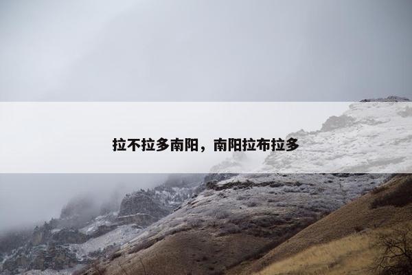 拉不拉多南阳，南阳拉布拉多