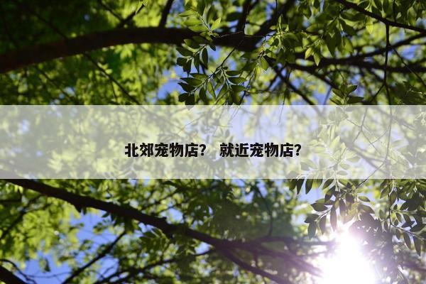 北郊宠物店？ 就近宠物店？