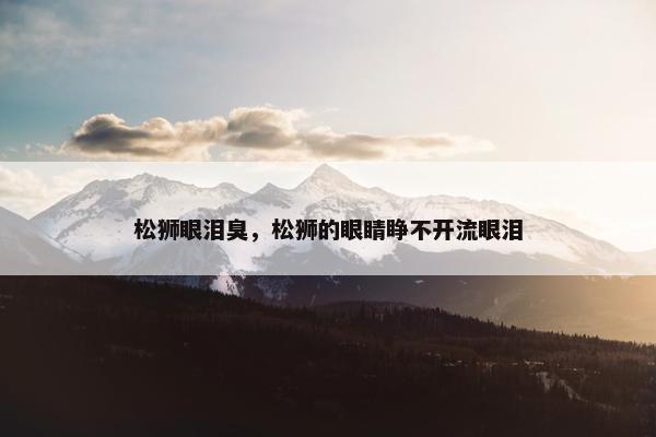 松狮眼泪臭，松狮的眼睛睁不开流眼泪