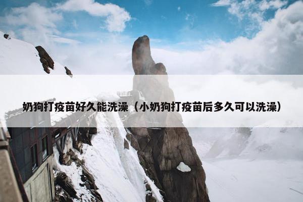 奶狗打疫苗好久能洗澡（小奶狗打疫苗后多久可以洗澡）