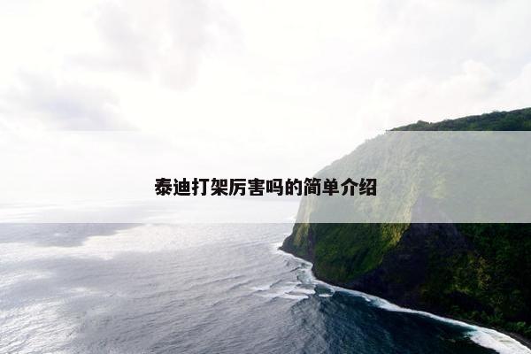 泰迪打架厉害吗的简单介绍