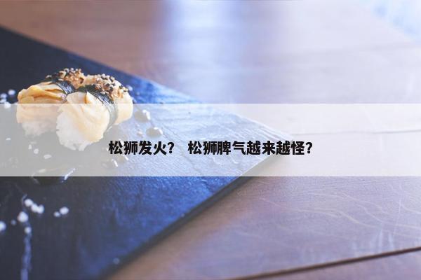 松狮发火？ 松狮脾气越来越怪？