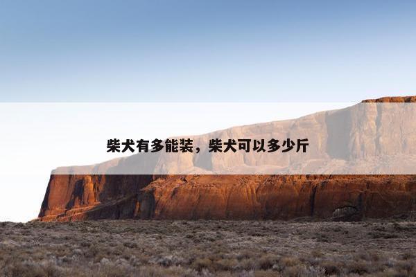 柴犬有多能装,柴犬可以多少斤