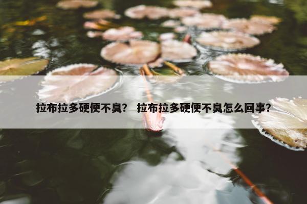 拉布拉多硬便不臭? 拉布拉多硬便不臭怎么回事? 拉布拉多硬便不臭? 拉布拉多硬便不臭怎么回事?