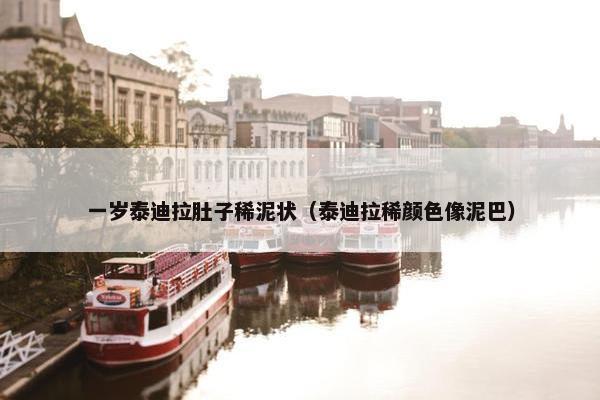 一岁泰迪拉肚子稀泥状（泰迪拉稀颜色像泥巴）