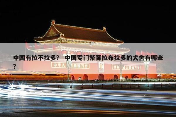 中国有拉不拉多？ 中国专门繁育拉布拉多的犬舍有哪些？