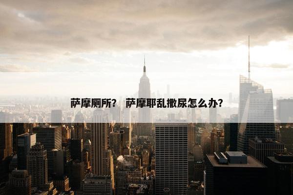 萨摩厕所？ 萨摩耶乱撒尿怎么办？