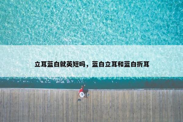立耳蓝白就英短吗,蓝白立耳和蓝白折耳