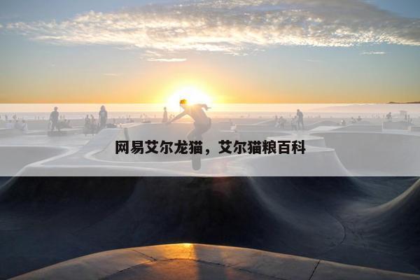 网易艾尔龙猫，艾尔猫粮百科