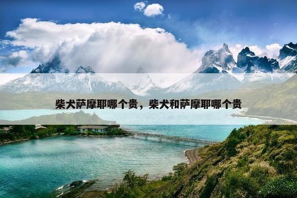 柴犬萨摩耶哪个贵,柴犬和萨摩耶哪个贵 柴犬萨摩耶哪个贵,柴犬和萨摩耶哪个贵