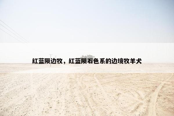 红蓝陨边牧，红蓝陨石色系的边境牧羊犬