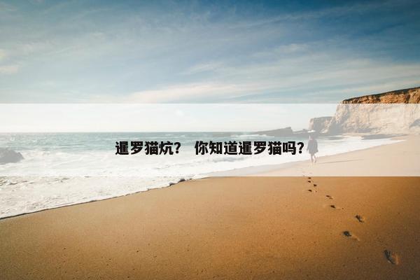 暹罗猫炕? 你知道暹罗猫吗?